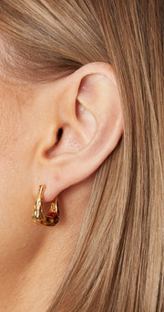 Olive Earrings - Gold