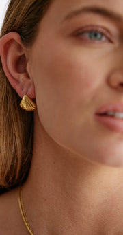 Asha Shell Stud Earrings - Gold