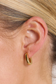 Emma Earrings - Gold & Dark Tort