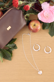 Silver Shine Gift Bundle