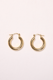 Briar Earrings - Gold